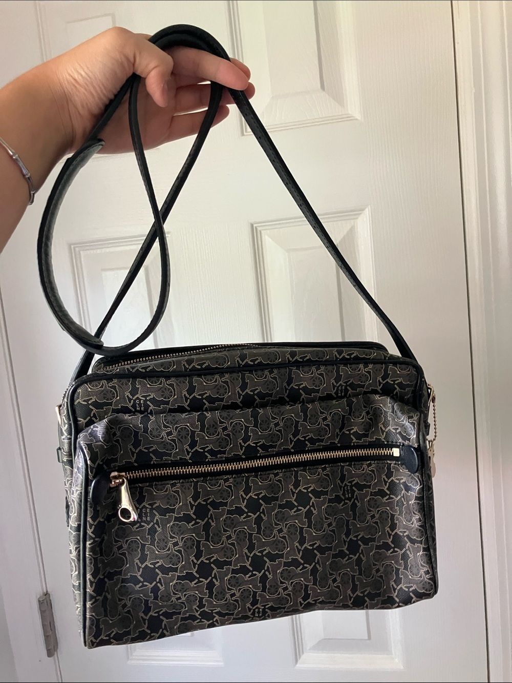 Celine Carriage Bag